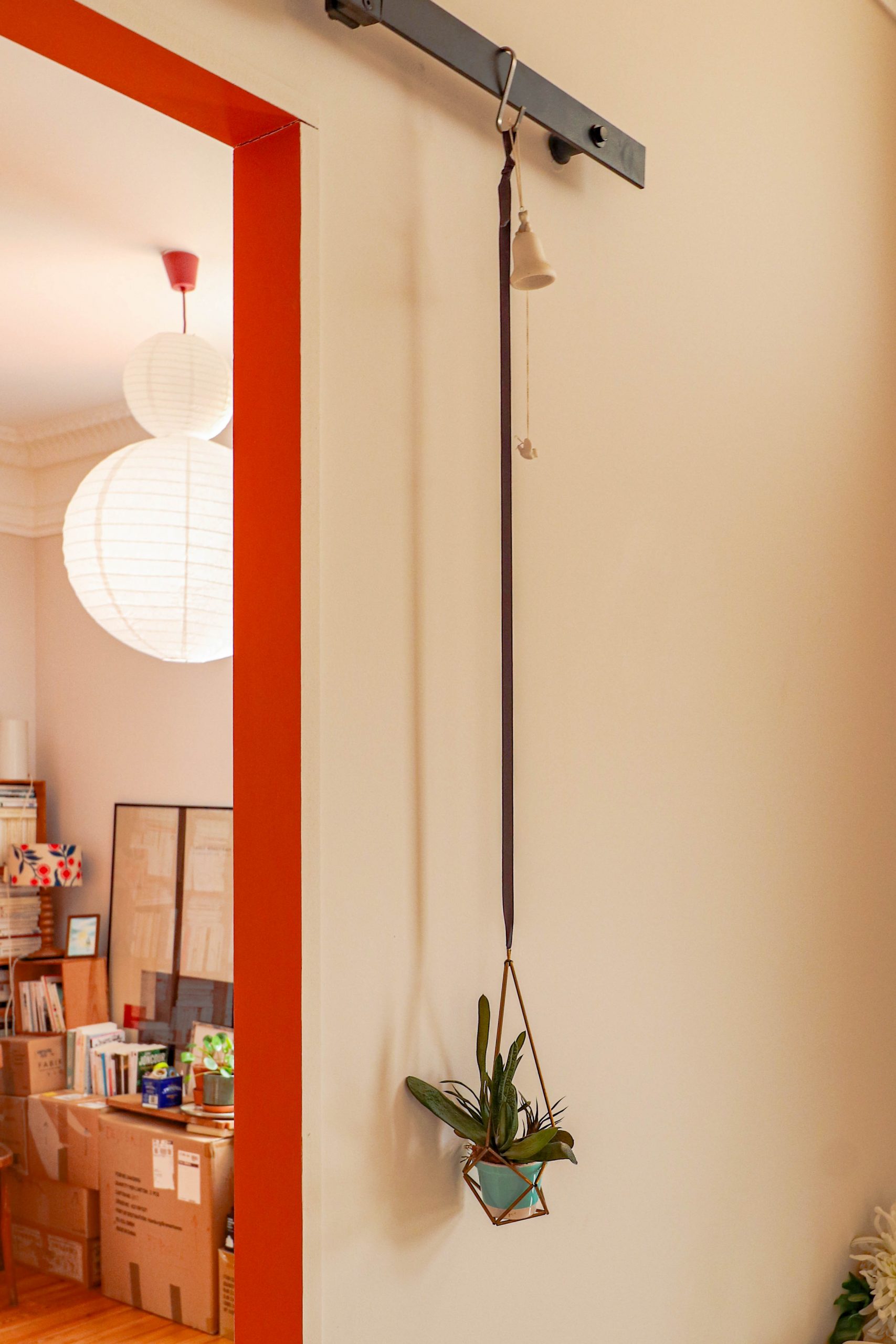 Atelier Salu - Architecte & Maître d'œuvre dans le Tarn maison de ville toulouse