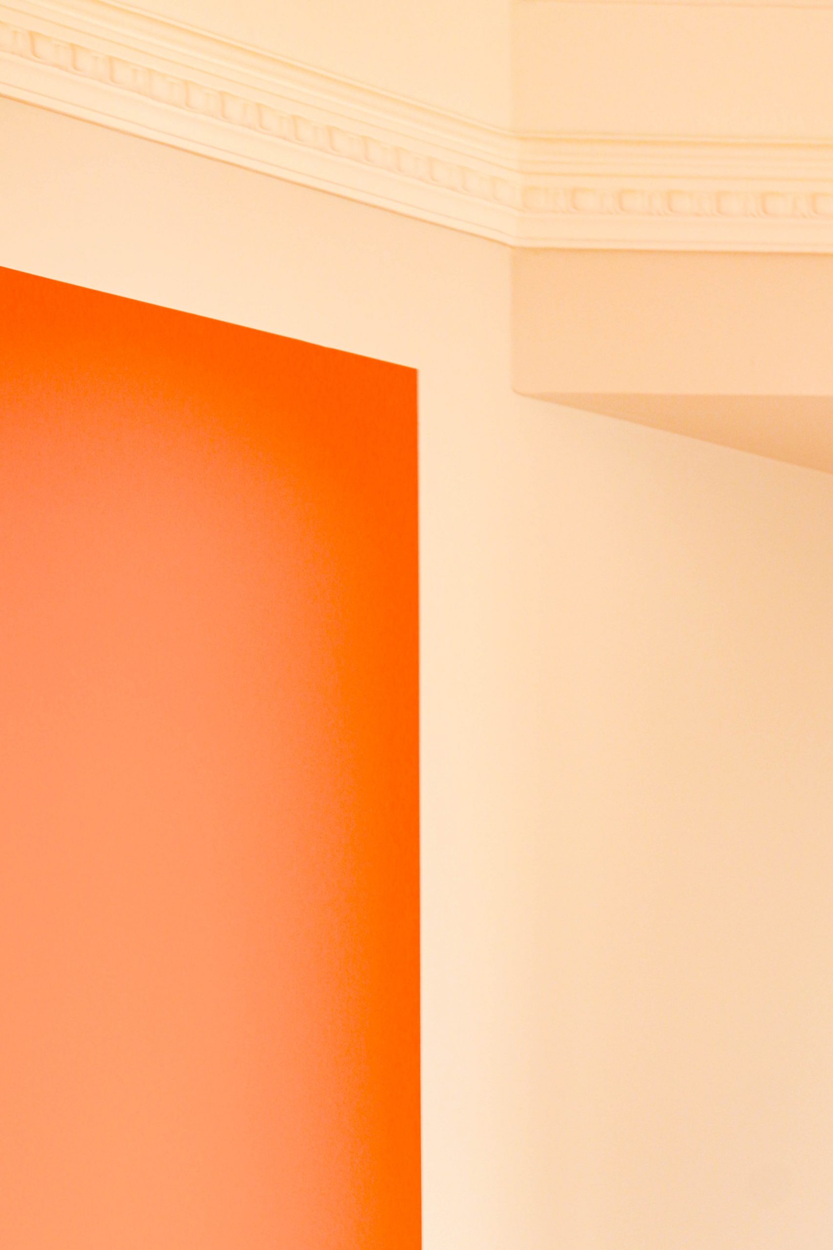 Atelier Salu - Architecte & Maître d'œuvre dans le Tarn maison de ville toulouse